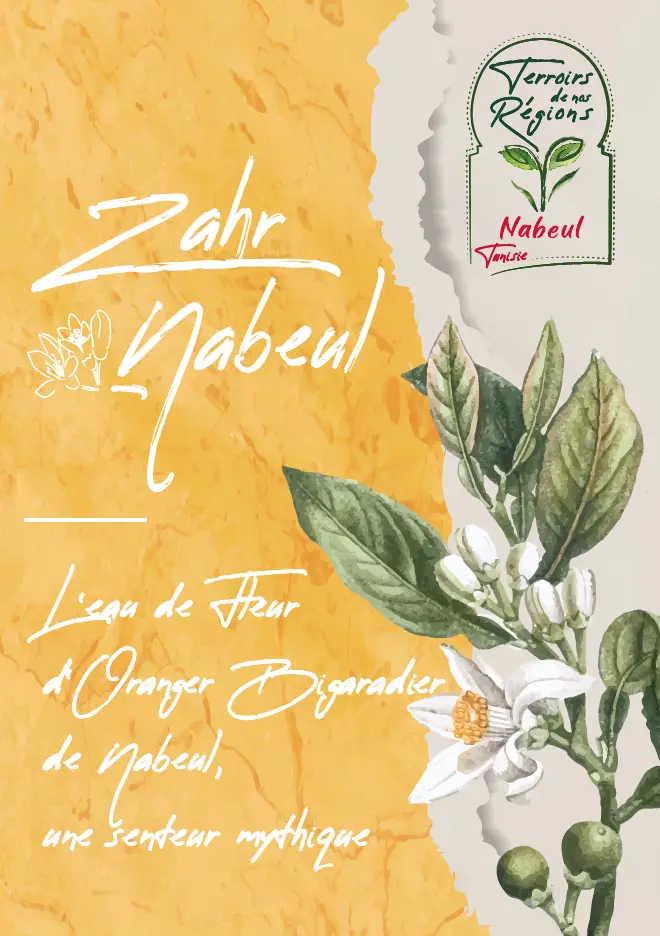 Zahr